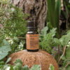 Bay Laurel Essential Oil 04