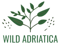 Wild Adriatica Logo